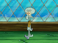 season 5 GIF by SpongeBob SquarePants