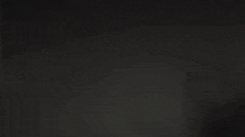North Dakota State Mckinney GIF by NDSU Athletics