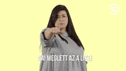 comedycentralmagyarorszag like dumaszinhaz comedycentralgifgyujtemeny comedycentralhungary GIF
