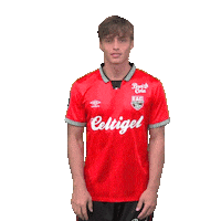 Ligue 2 Football Sticker by EA Guingamp