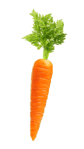 Hund Sticker by HelloBello Frischfutter