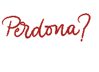 Sorry Perdon Silviagadu Sticker