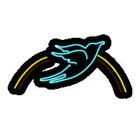 bluebirdcafetn the bluebird bluebird cafe the bluebird cafe Sticker