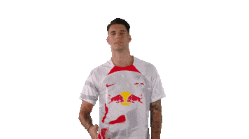 Happy Kiss Kiss Sticker by RB Leipzig