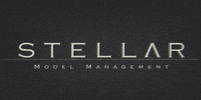 Stellarmodelswarsaw GIF by stellar model management