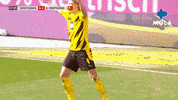 Happy Football GIF by MolaTV