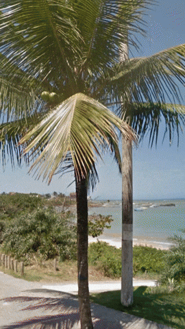 Simongip giphyupload GIF