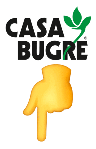 casabugre_ giphyupload casabugre casa bugre Sticker