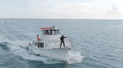 dance dancing GIF by Shark Week