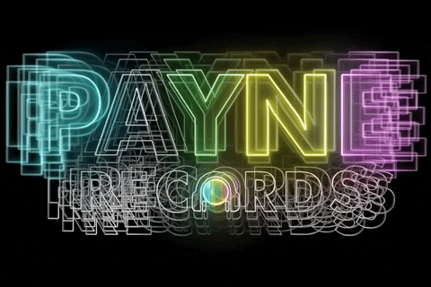 GIF by Payne Records