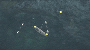 The Amazing Race Swimming GIF by CBS