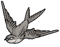 Bird Tattoo Sticker by Relo GIFS