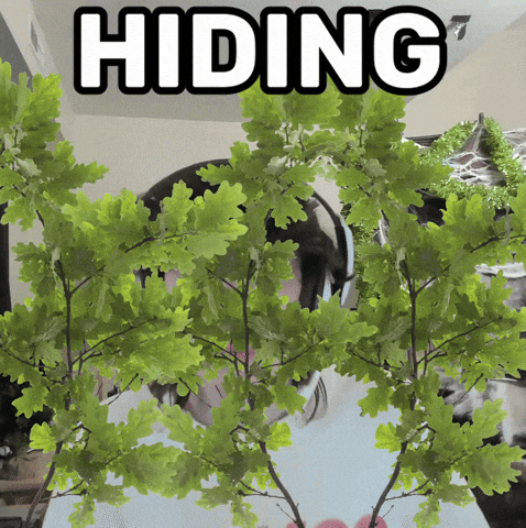 Looking Around Hide And Seek GIF