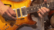 dead & company guitar GIF by Bonnaroo Music and Arts Festival