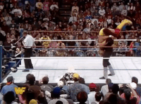 hulk hogan GIF by WWE