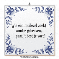 Humor Wijsheid GIF by Tegelspreuken.nl