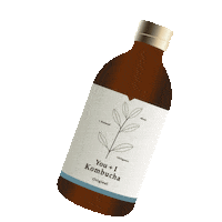 Kombucha Gut Health Sticker by You + I