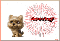 Puppy Fireworks GIF