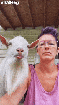 Two Tongues Stuck Out