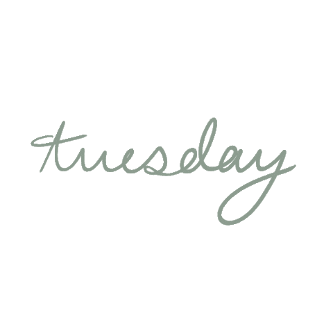 cooperm217 giphyupload pastel tuesday cursive Sticker