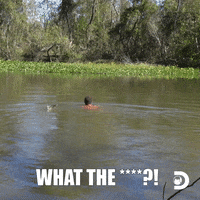 What The Omg GIF by Discovery