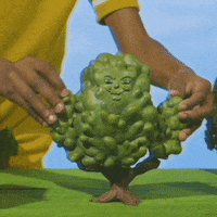 Climate Change Cartoon GIF by Mighty Oak