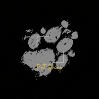 Ainechile  GIF