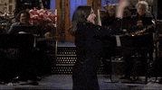 Snl GIF by Saturday Night Live
