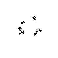 Rio De Janeiro Dancing Sticker