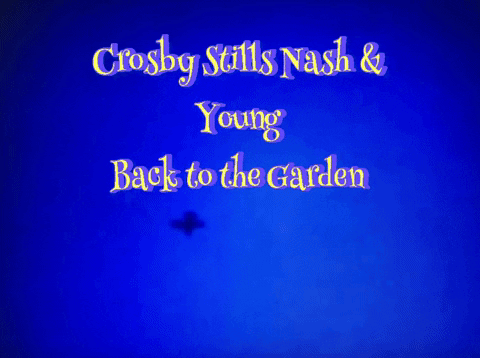 lisawallacea83c crosby stills nash young back to the garden GIF