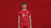 Proud Bayern Munich GIF by Bundesliga