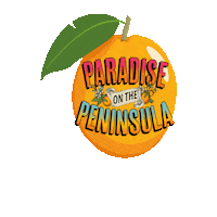 Paradise Sticker by Place Of Hope