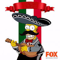 GIF by FNG mexico