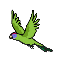 Ave Pda Sticker by Parque das Aves
