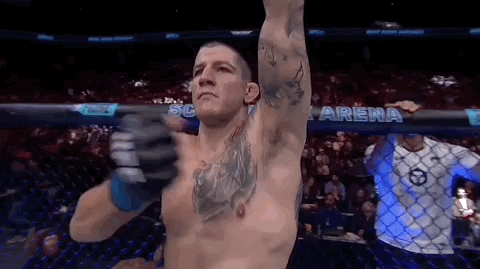 Mixed Martial Arts Sport GIF by UFC