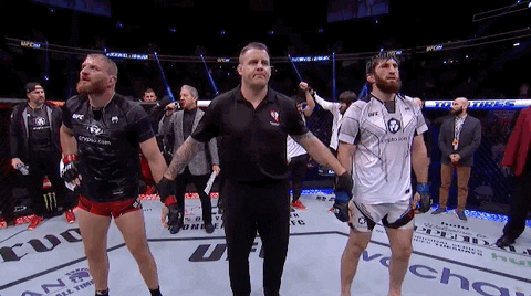 Jan Blachowicz Sport GIF by UFC