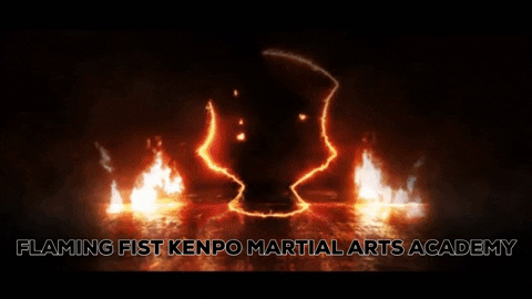 Martial Arts Fighting GIF by Flaming Fist Kenpo Germany - empty hands e.V.