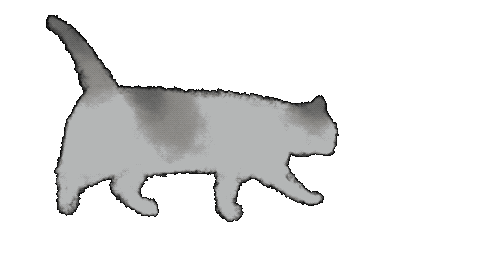 ねこ 猫 Sticker by Illustrator.aki