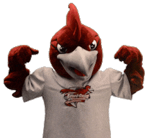 Mascot Roadrunner Sticker by Ramapo College of New Jersey