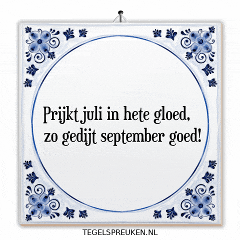 Humor Wijsheid GIF by Tegelspreuken.nl