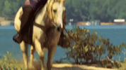 cmt GIF by Redneck Island