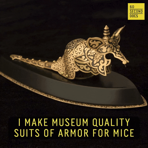 Mouse Armor GIF by 60 Second Docs