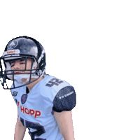 Football Sport Sticker by Venom Lilienthal