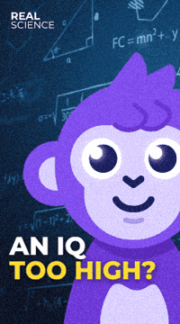 Monkey Genius GIF by Raena AI