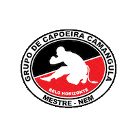 Capoeira Sticker by Grawitacja Sport Academy