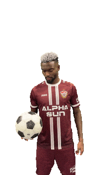 Gegentor Sticker by BFC Dynamo