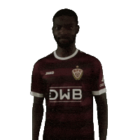 Football Soccer Sticker by BFC Dynamo