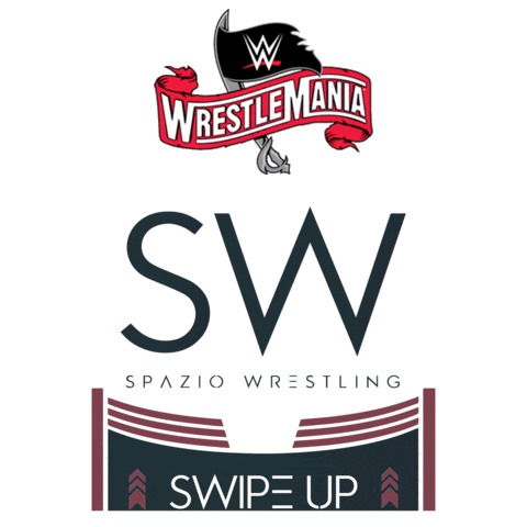 John Cena Sport Sticker by Spazio Wrestling