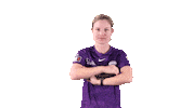 Cricket Wbbl Sticker by Hobart Hurricanes