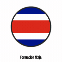 Costa Rica Flag GIF by Formación Ninja